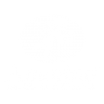 AMORINO